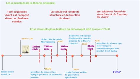 L Histoire De La Cellule