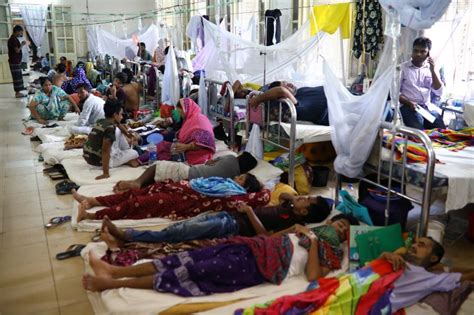 Dengue Adds To Covid Hit Bangladeshs Woes As Dozens Die Health News