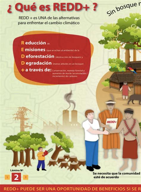 Infografia REDD Derecho Ambiente Y Recursos Naturales