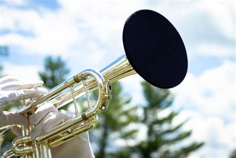 Best Trumpet Bell Covers Guide - Brass 'n Wind