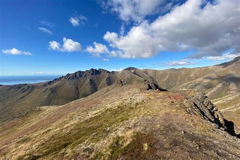 2023 Alpine Classic Trek provided by Go Hike Alaska - Tripadvisor