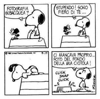 Pin Di Alessandro Arezzo Su Peanuts Snoopy Citazioni Divertenti