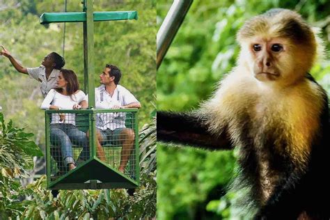 Isla de los Monos y Teleférico Gamboa Resort Viajes Tao 365