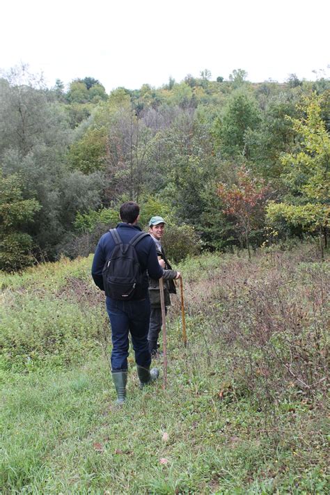 Truffle Hunting in Italy - thekittchen