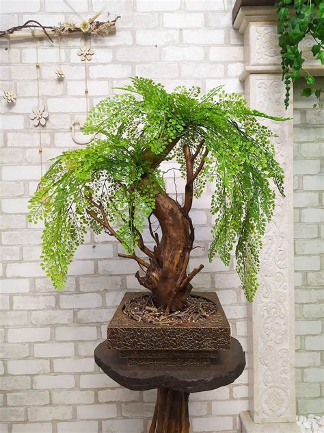 The Art Of Caring For Weeping Willow Bonsai Trees 2023