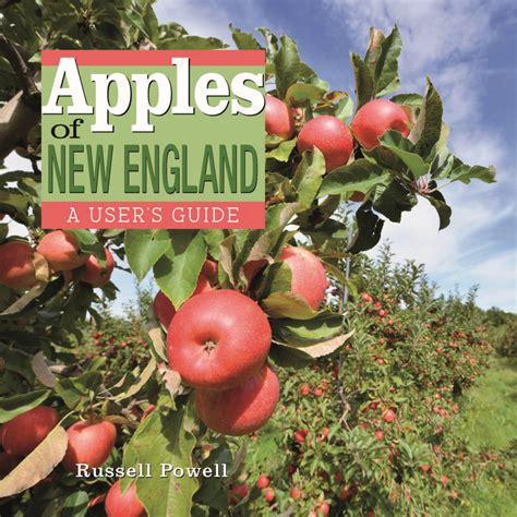 New England Apples