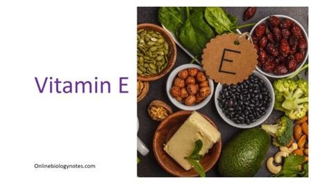 Vitamin E Tocopherol Biosynthesis Biological Roles And Deficiency