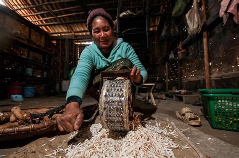 Empowering Cassava Farming Innovations And Sustainability Initiatives