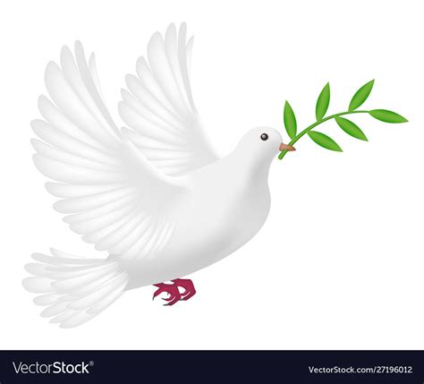 White Pigeon Flying With Leaf Concept Peace Vector Image