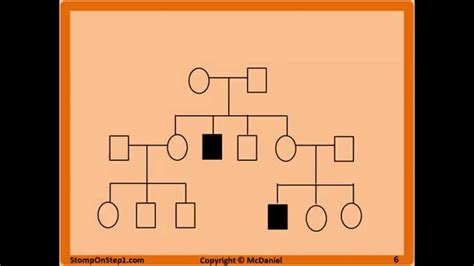 Pedigrees Patterns Of Genetic Inheritance Autosomal Dominant