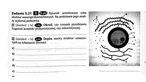 Prosz Pilnie O Pomoc Zadanie Jest W Za Czniku Brainly Pl