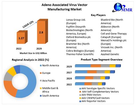 Adeno Associated Virus Vector Manufacturing Market