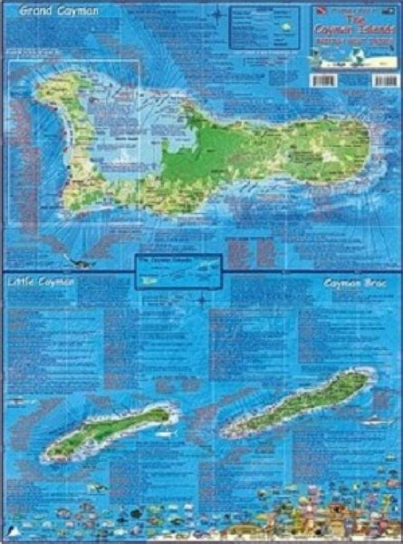 Buy Map Caribbean Fish Card Cayman Islands Mini 2010 By Frankos Maps