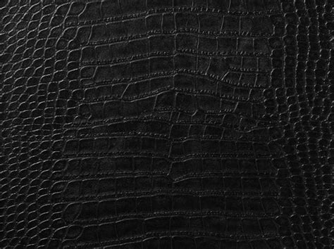 Black Crocodile Wallpaper - WallpaperSafari