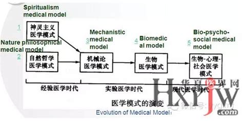 医学模式转变转化医学研究视觉空间能力第5页大山谷图库