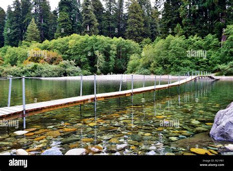 The Smith River at Jedediah Smith Redwoods State Park Stock Photo - Alamy