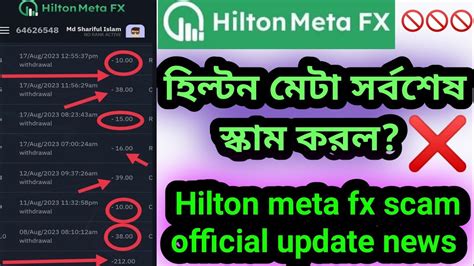 Hilton meta fx scam today official update news হলটন মট সকযম