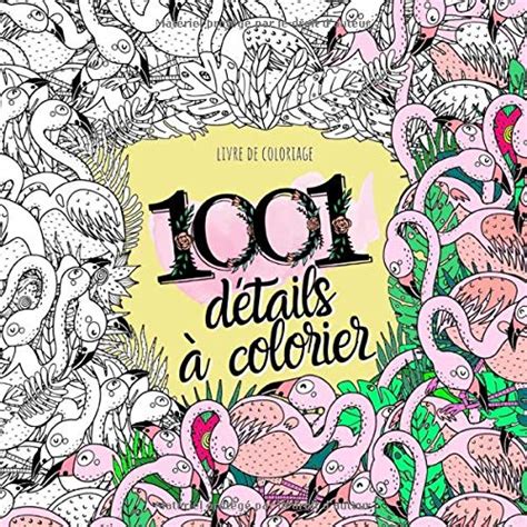 Buy Livre De Coloriage 1001 Détails à Colorier Coloriage Fille