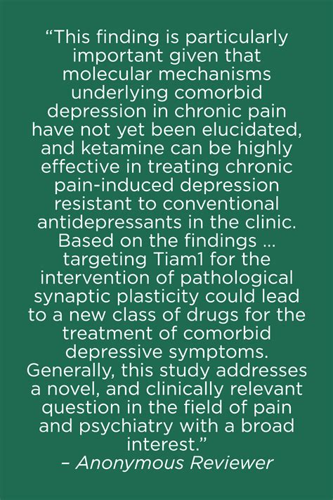 UAB Leads Research Uncovering Potential Target for Treatment of Chronic