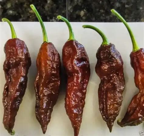 Bhut Jolokia Chocolate Guide: Heat, Flavor, Uses