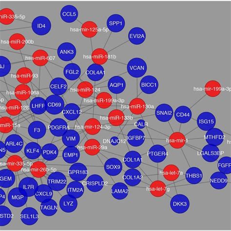 Network Visualization Of Most Common Mirnas Regulating Differentially