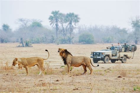 The Best Of Lower Zambezi Safari Absolute Zambia Safaris