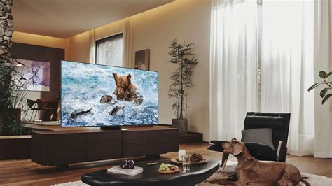 Samsung Vs Hisense Which Tv Brand Is Best In Livingetc