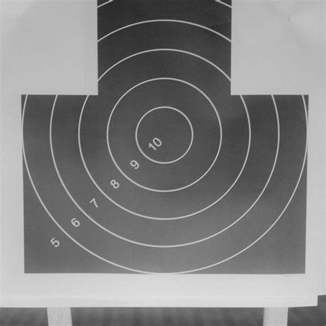 Zero And Adjust Your Iron Sights For Precision Shooting Ozark Armament