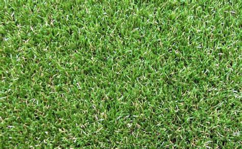 Artificial Grass Adelaide Types And Specifications