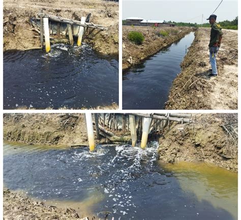 Dampak Limbah Dari Tambak Udang Mengalir Ke Sungai Nelayan Desa Suka