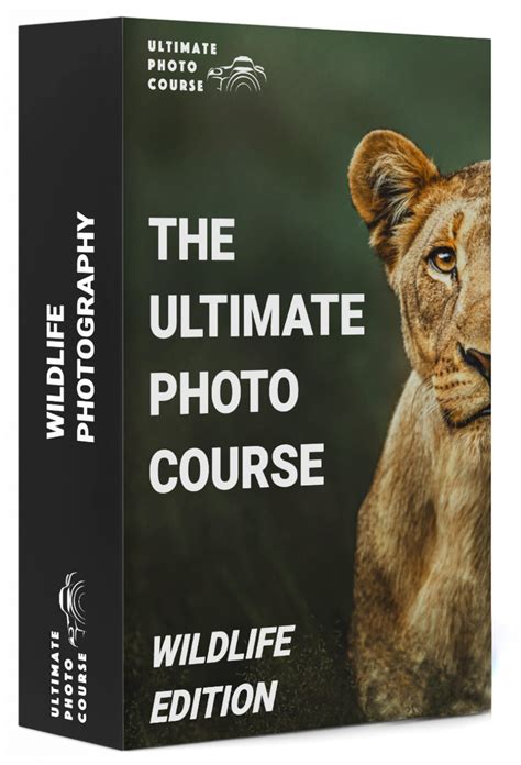 The Ultimate Wildlife Photography Course