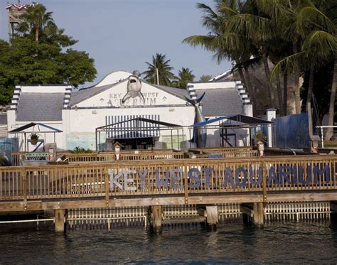 The Key West Aquarium. | Key west aquarium, Key west, Florida pictures