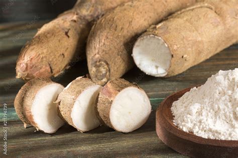 Cassava Also Called Manioc Yuca Balinghoy Mogo Mandioca Kamoteng Kahoy Tapioca And Manioc