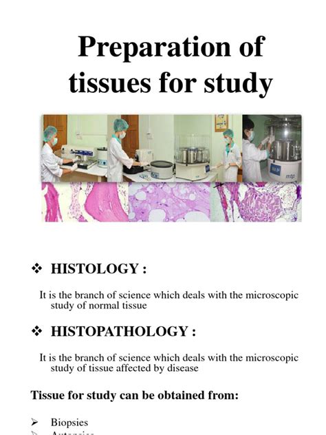 tissue preparation  microscopic examination  staining histology