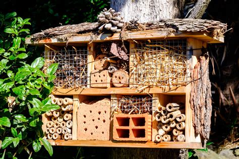 Why Every Garden Needs A Bug Hotel Thames Valley Landscapes