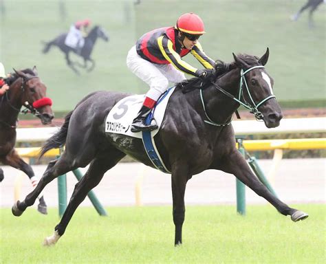 ＜東京6r＞新馬戦を制したアスコリピチェーノ（撮影・村上 大輔） ― スポニチ Sponichi Annex ギャンブル