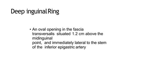 inguinal canal anatomy.pptx