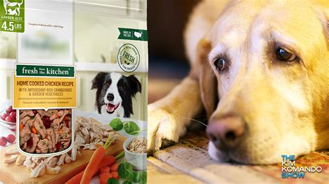 Freshpet dog food recalled due to salmonella risk