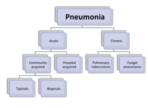 Respiratory Infections Flashcards Quizlet