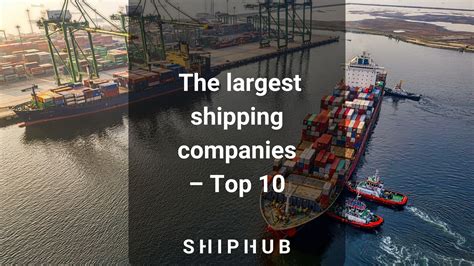 The largest shipping companies – Top shipowners in the world | ShipHub