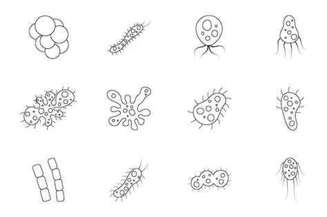 Premium Vector Set Of Bacteria And Virus Vector Illustration In