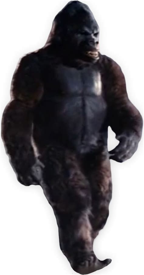 King Kong 1976 Movie Version And Full Body By Coolteen15 On Deviantart