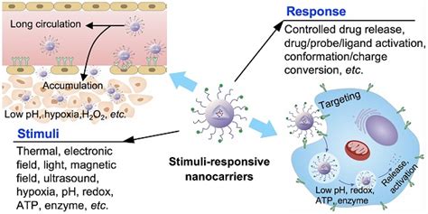 Stimuli Responsive Nanocarriers For Drug Delivery Tumor Imaging