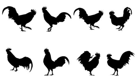 Colección De Siluetas De Gallo En Vector Premium Vector Premium