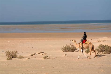 Dakhla Where The Desert Meets The Sea