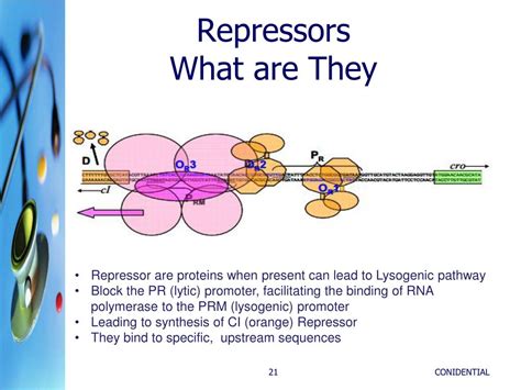 wonderful world  repressors powerpoint