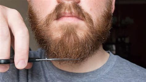 How To Trim A Beard With Scissors With Pictures Tools Of Men