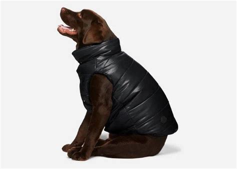 Dogs Go Dapper In Moncler X Poldo Dog Couture Puffer Jackets