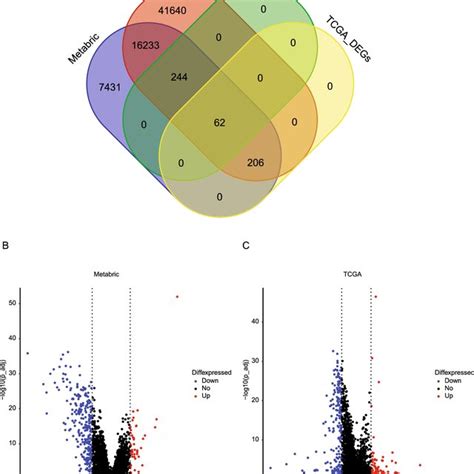 (A) Venn diagram of total available genes and DEGs in METABRIC and... | Download Scientific Diagram