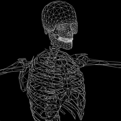 Human Skeleton 24 Animations 3d 3ds